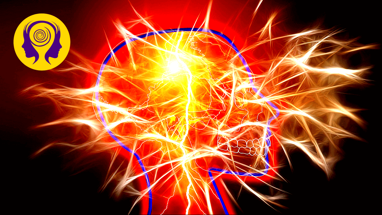 Law Of Attraction Accelerator