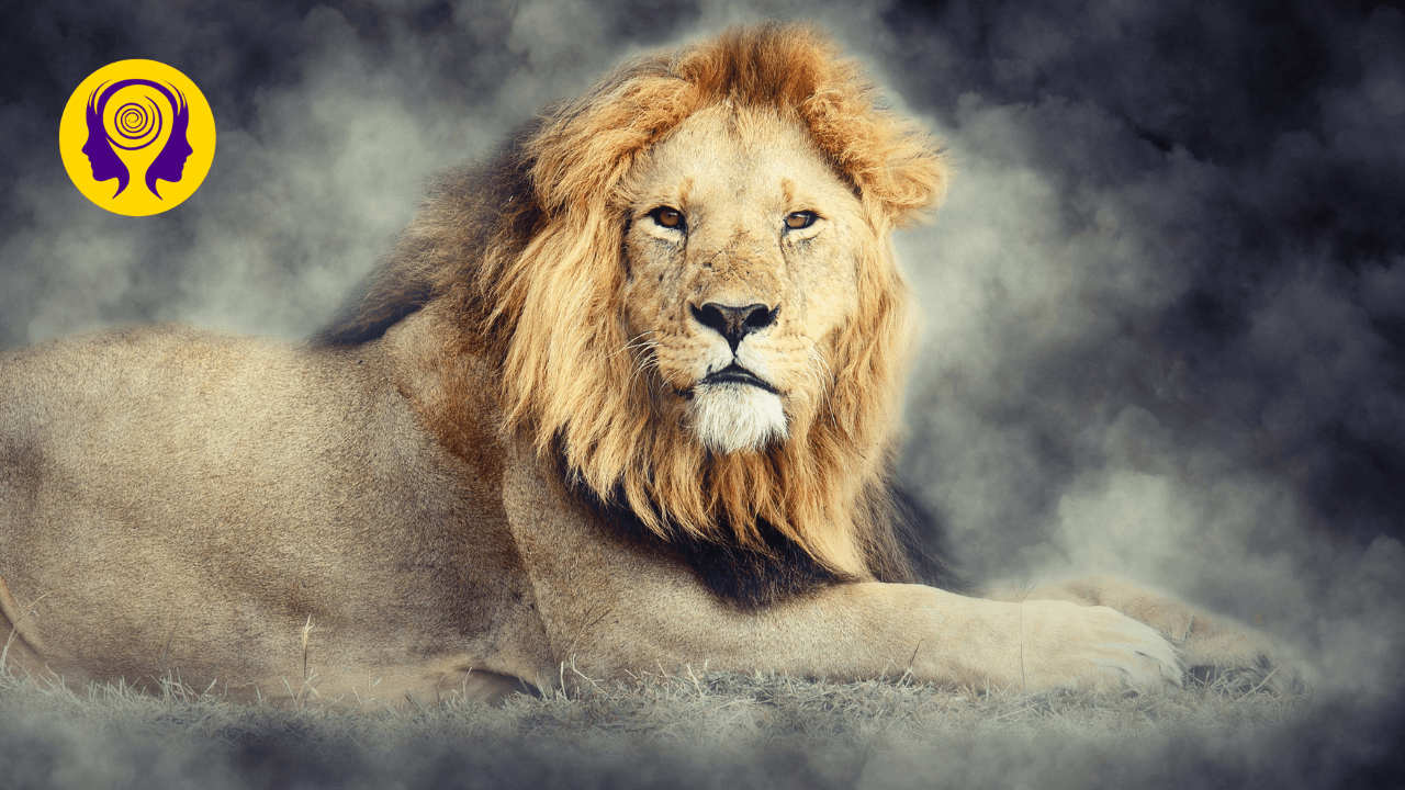 Fearless