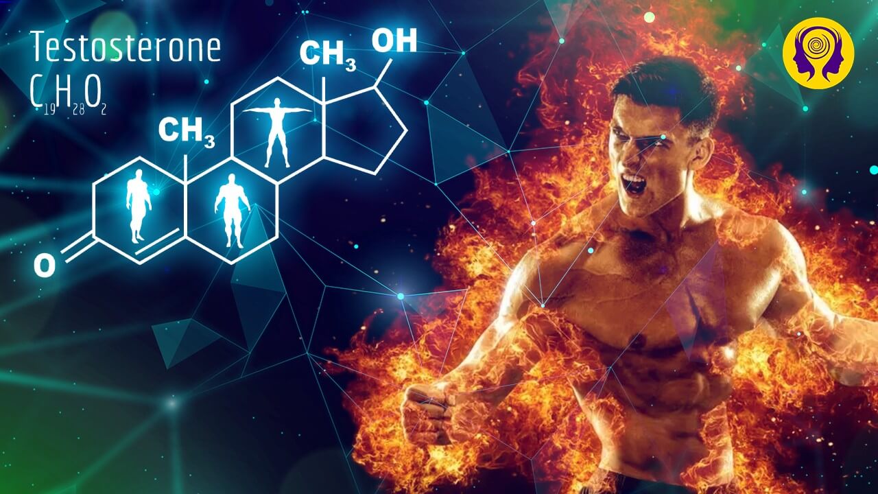 Testosterone Booster